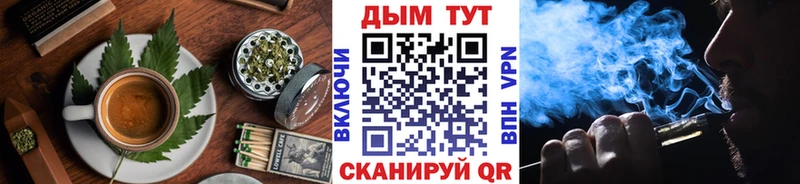 shop какой сайт  Черногорск  Cannafood марихуана  как найти закладки 