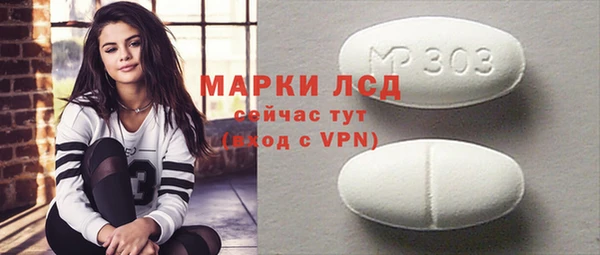 ГАЛЛЮЦИНОГЕННЫЕ ГРИБЫ Семёнов