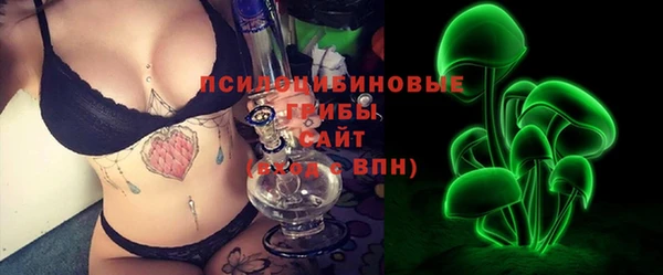 ГАЛЛЮЦИНОГЕННЫЕ ГРИБЫ Семёнов
