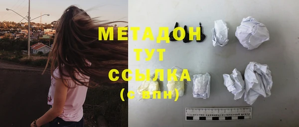 ГАЛЛЮЦИНОГЕННЫЕ ГРИБЫ Семёнов