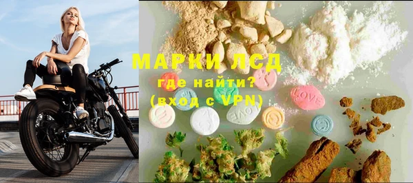 ГАЛЛЮЦИНОГЕННЫЕ ГРИБЫ Семёнов