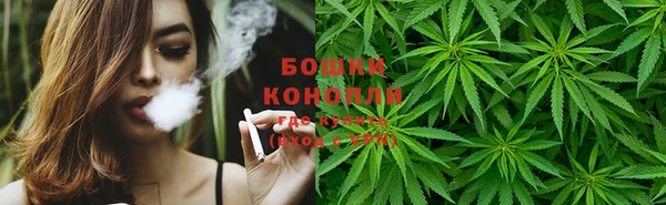 ГАЛЛЮЦИНОГЕННЫЕ ГРИБЫ Семёнов