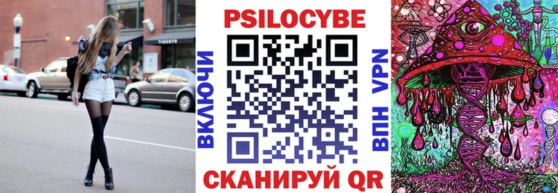 где можно купить наркотик  Черногорск  Псилоцибиновые грибы прущие грибы 